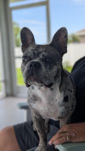 Milo